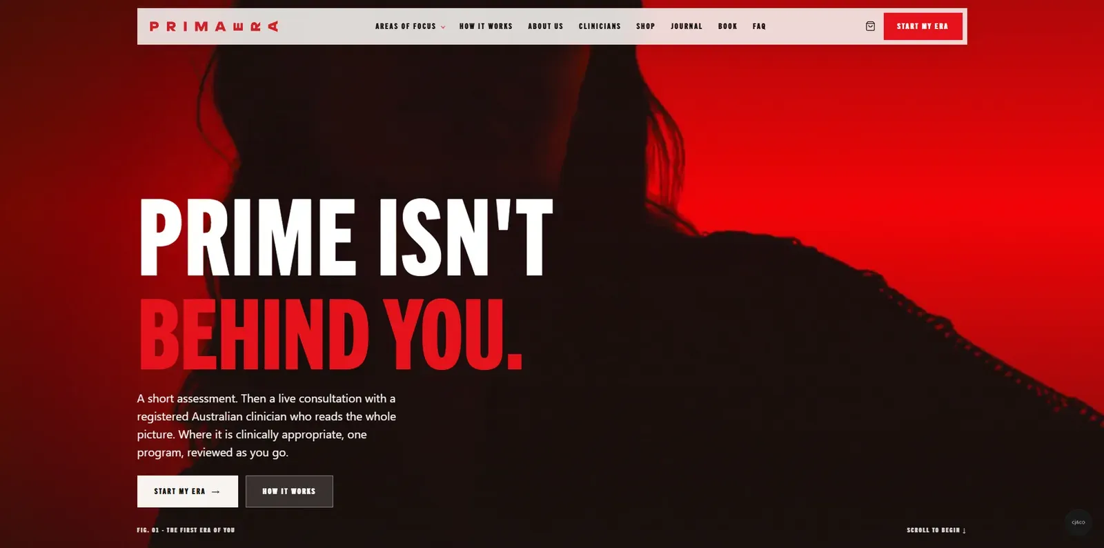 The Primaera website on a desktop screen